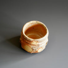 Guinomi (sake cup)