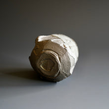 Guinomi (sake cup) by Akira Satake