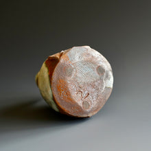 Tokkuri (sake server)/Bud vase