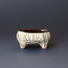 Salt cellar