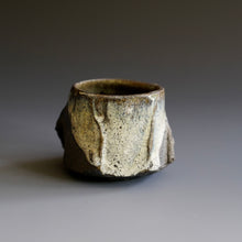 Guinomi (sake cup)