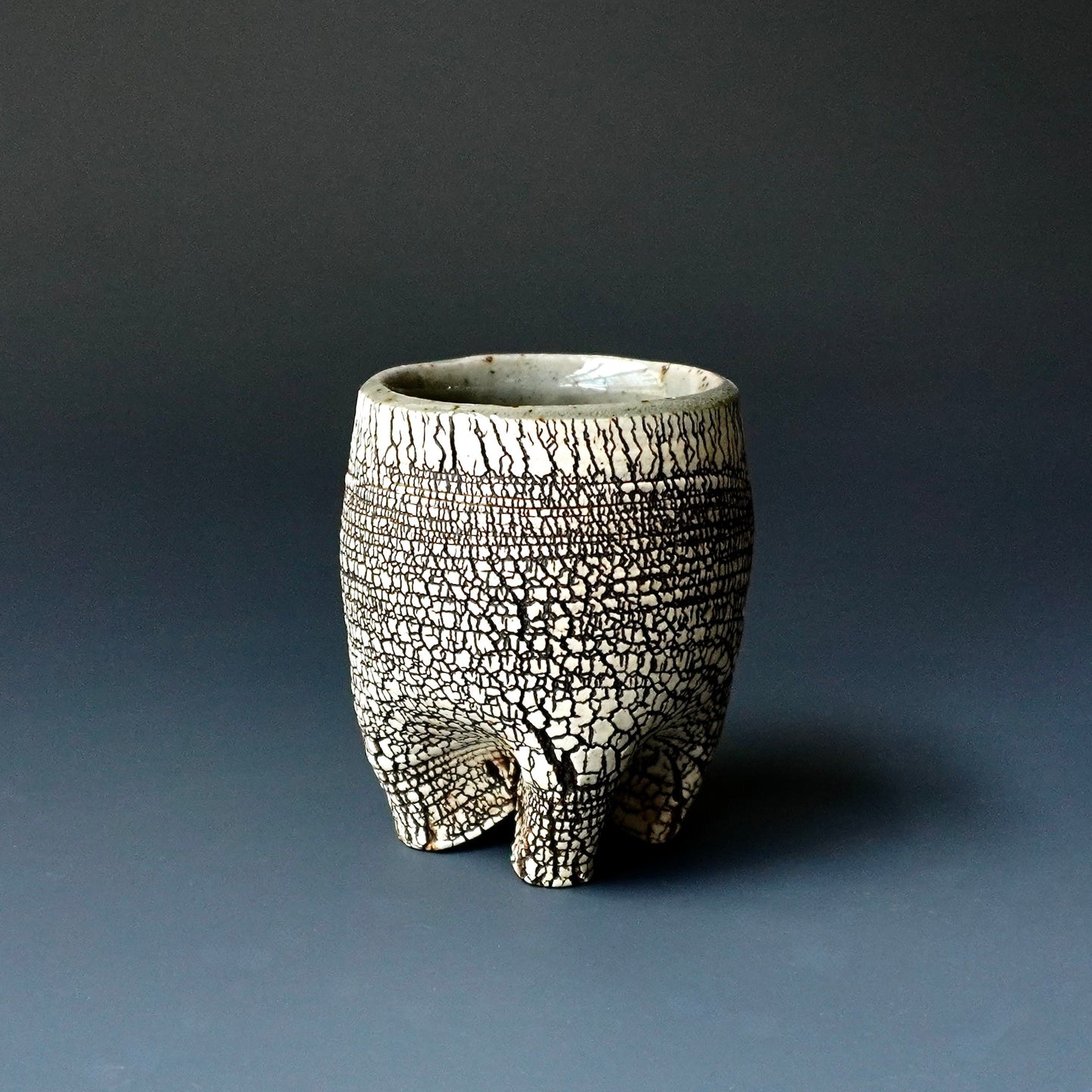Cup /sake