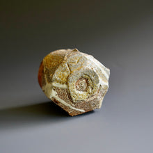 Guinomi (sake cup)