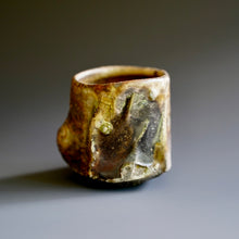 Guinomi (sake cup)