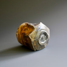 Guinomi (sake cup)