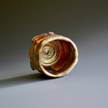 Guinomi (sake cup)