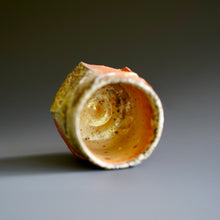 Guinomi (sake cup)