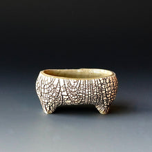 Salt cellar