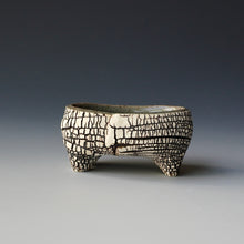 Salt cellar