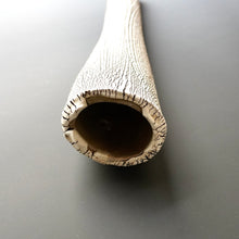 Wall vase