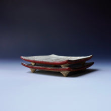 Square Plate Set