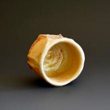 Guinomi (sake cup)
