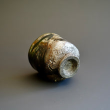 Guinomi (sake cup)