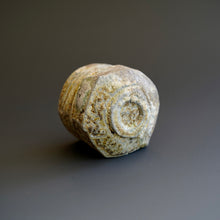 Guinomi (sake cup)