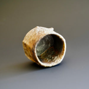 Guinomi (sake cup)