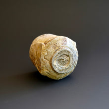 Guinomi (sake cup)