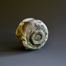 Guinomi (sake cup)