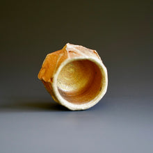Guinomi (sake cup)