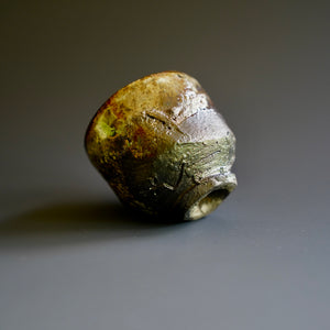 Guinomi (sake cup)