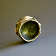 Guinomi (sake cup)