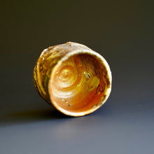 Guinomi (sake cup)