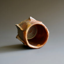 Guinomi (sake cup)