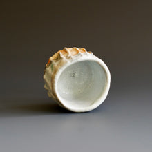 Guinomi (sake cup)