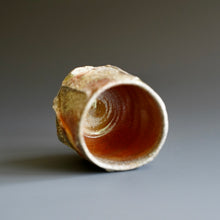 Guinomi (sake cup)