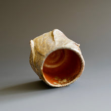 Guinomi (sake cup)