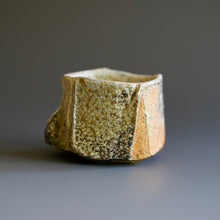 Guinomi (sake cup)