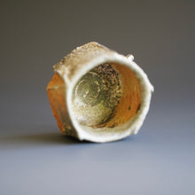 Guinomi (sake cup)