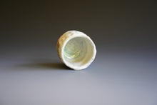 Guinomi (sake cup)