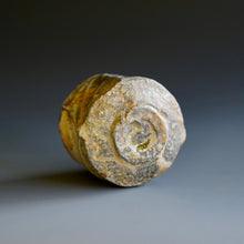 Guinomi (sake cup) by Akira Satake