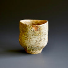 Guinomi (sake cup)