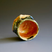Guinomi (sake cup)