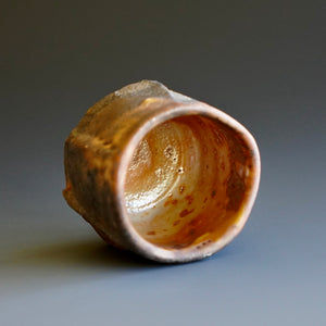 Guinomi (sake cup)