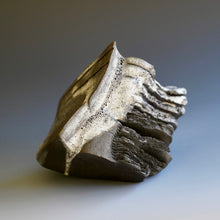 Sculpture by Akira Satake