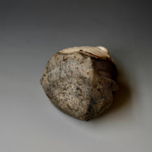 Tokkuri (sake server)/Bud vase