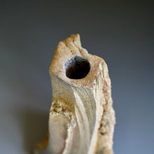 Sculpture / Vase