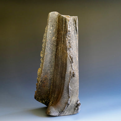 Sculpture / Vase by Akira Satake