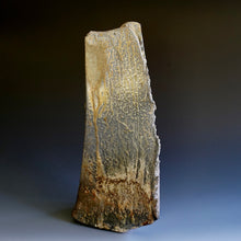 Sculpture / Vase by Akira Satake