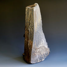 Sculpture / Vase by Akira Satake