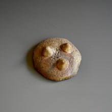 Small Round Plate