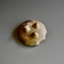 Small Round Plate