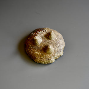 Small Round Plate