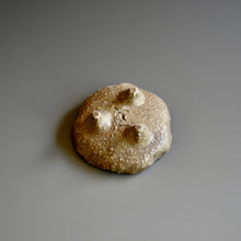 Small Round Plate