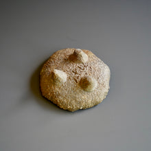 Small Round Plate