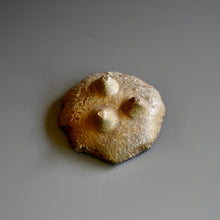 Small Round Plate