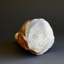 Tokkuri (sake server)/Bud vase by Akira Satake