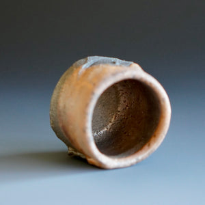 Guinomi (sake cup)